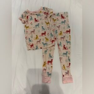 Kids Cheetah Print Pajamas - Pink